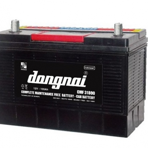 Ắc quy Đồng Nai CMF 31800 12V 100Ah